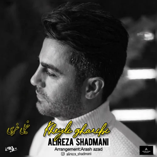 آهنگ علیرضا شادمانی خیلی غریبی