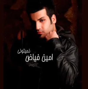 دانلود آهنگ امین فیاض نمیتونی