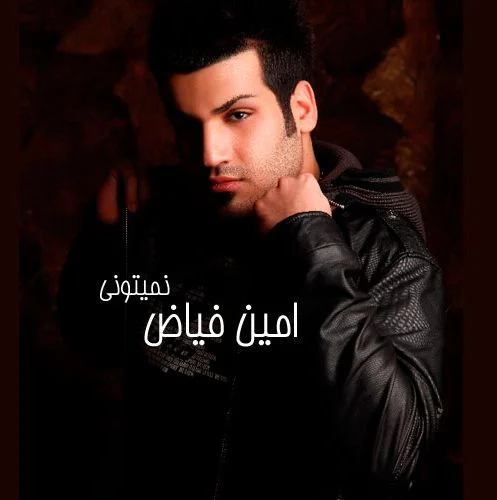 دانلود آهنگ امین فیاض نمیتونی