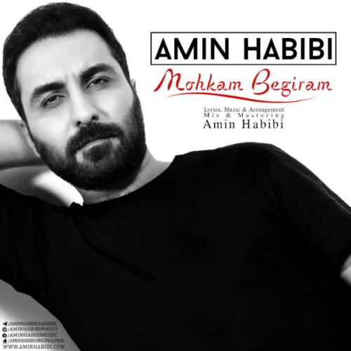 دانلود آهنگ امین حبیبی محکم بگیرم
