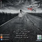 دانلود آهنگ زیر نیم کاسه از امیر عظیمی