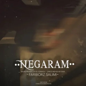 آهنگ فریبرز سلیمی نگارم