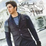 دانلود آهنگ One More Chance از فرزاد فرزین