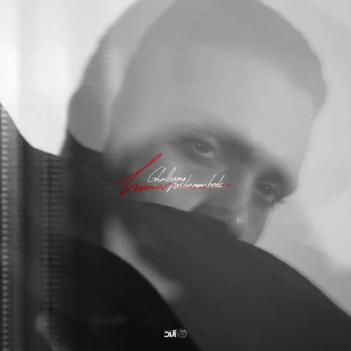 آهنگ حامیم قلبمو پس به من بده