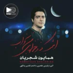 دانلود آهنگ امشب کنار غزلهای من بخواب از همایون شجریان