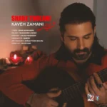 آهنگ کاوه زمانی شب طولانی