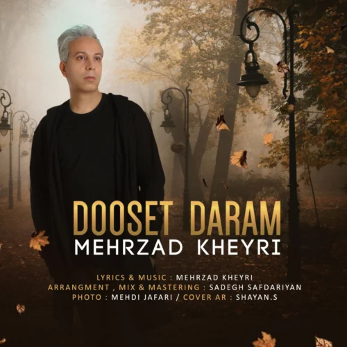 آهنگ مهرزاد خیری دوست دارم