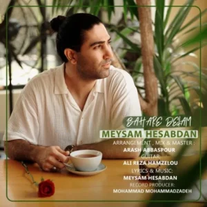 آهنگ میثم حسابدان بهار دلم