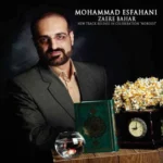 دانلود آهنگ زائر بهار از محمد اصفهانی