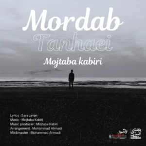 دانلود آهنگ مجتبی کبیری مرداب تنهایی