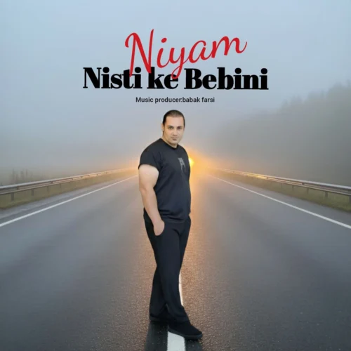 آهنگ نیام نیستی که ببینی