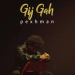 آهنگ پژمان گیجگاه