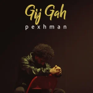 آهنگ پژمان گیجگاه