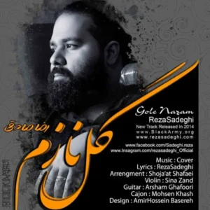 رضا صادقی