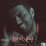 دانلود آهنگ یکم راه برو از رضا شیری