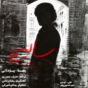 رضا یزدانی