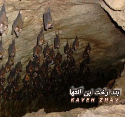 آهنگ کاوه ژاو بند رخت بی انتها (بیکلام)