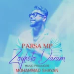 آهنگ پارسا ام پی ذوقتو دارم