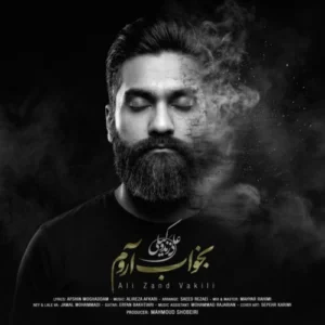 آهنگ علی زندوکیلی بخواب آروم
