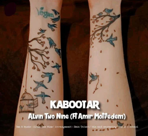 آهنگ آلوین تو ناین و امیر متفدم کبوتر