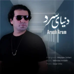 آهنگ آرش آرام دنیای سرد