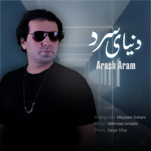آهنگ آرش آرام دنیای سرد