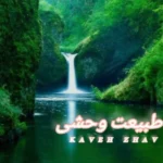 آهنگ کاوه ژاو طبیعت وحشی