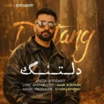 آهنگ رضا گودرزی دلتنگ