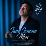 آهنگ محمد جواد یعقوبی جان جانان من
