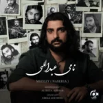 آهنگ نامی عبدالهی مدلی (ناصریا)