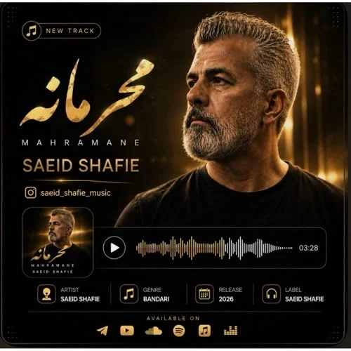 آهنگ سعید شفیعی محرمانه